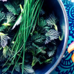 Sting Nettles Soup