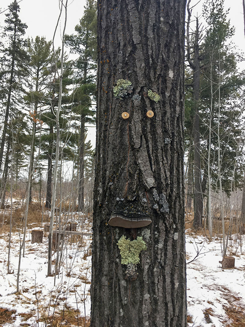 julebyen minnesota