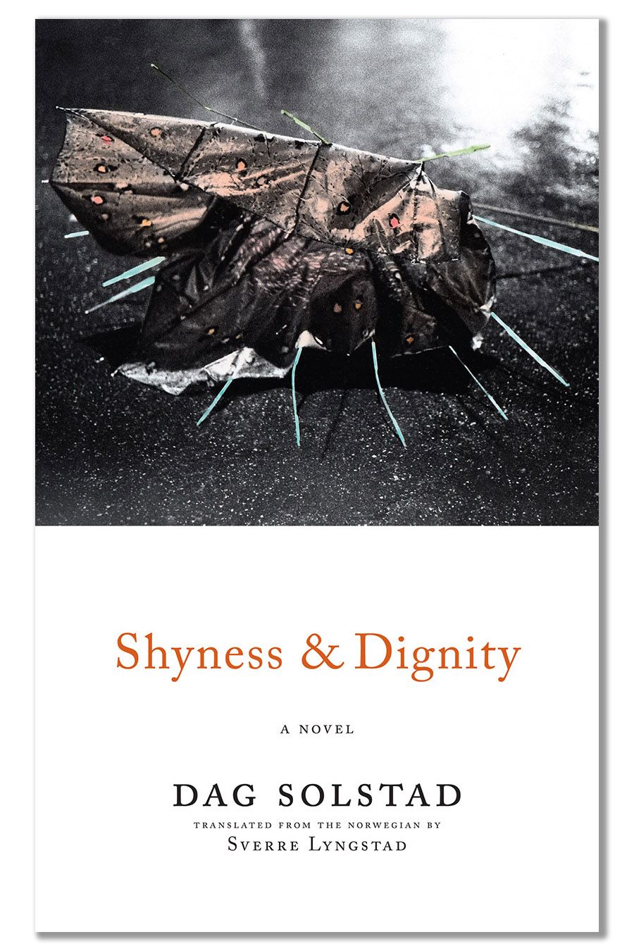 Shyness and Dignity by Dag Solstad | Nordic Center Duluth Minnesota book club